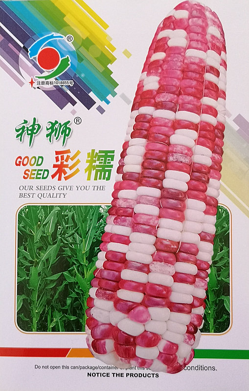 Shenshi Cainuo——Corn